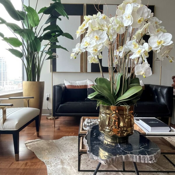Orchid Floral Arrangement in Vase