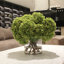 Hortensias blancs en vase en verre transparent-728382061-728382060