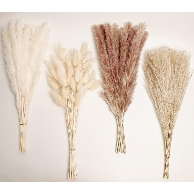 Décoration naturelle d'herbe de pampa séchée