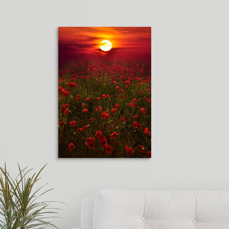 « chaleureux coucher de soleil », reproduction de photo sur toile, H 24 po x l 17 po x P 1,5 po