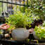 Pot à fleurs en terre cuite yukun-1862264479