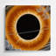 Space Venus transit Brown Metal Wall Art