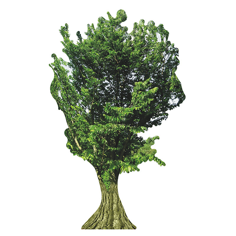 Arbre en carton, Vert