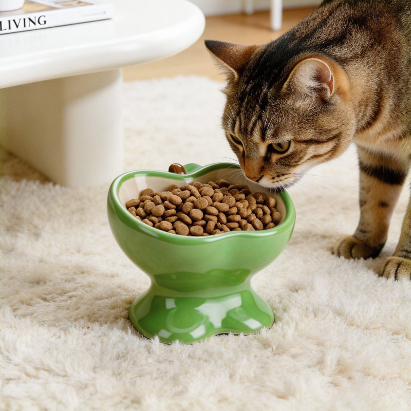 Bol à nourriture pour chat Modern, Vert