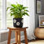  Pot à fleurs 6 "-128635685