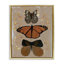 Butterfly Collage Symmetry Framed Floater Canvas Wall Art, design by Kara Keller Designs