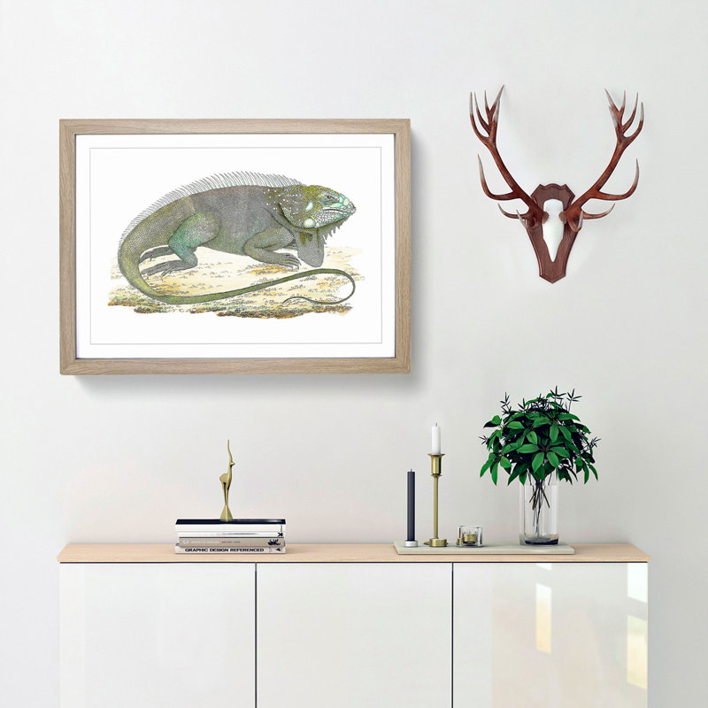 Iguana by George Shaw - Framed Print, 27cm H x 36cm W x 2cm D, Oak Framed