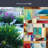 Montage Window Film 24" x 36"