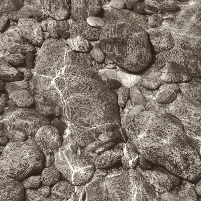 Rock Pool