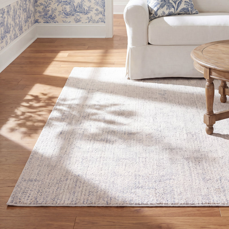 Flavi Area Rug In Light Gray/Ivory, Rectangle 3' x 5'