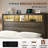 Sherell Bed Frame with Bookcase Storage Headboard and Footboard, LED Lights, Charging Station-412094637-409051020