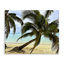 Art mural sur toile, "Palmes inclinées sur la plage" par Kali Wilson