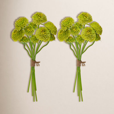 Scabiosa Floral Stems