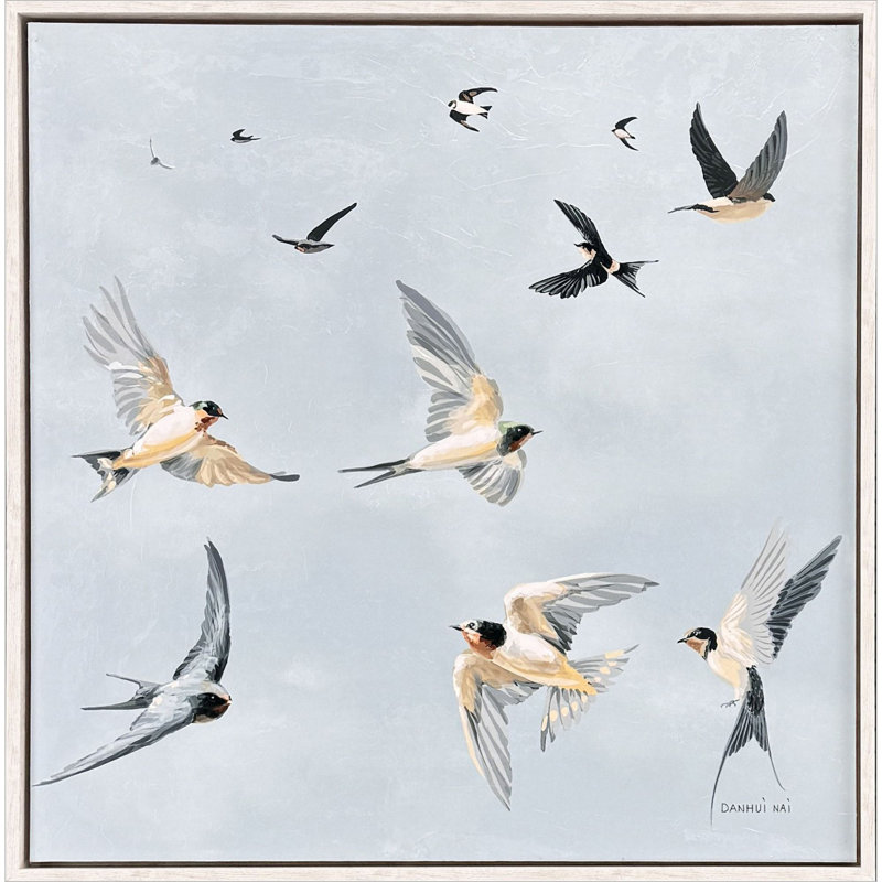 Swifts Print Nai Paragon
