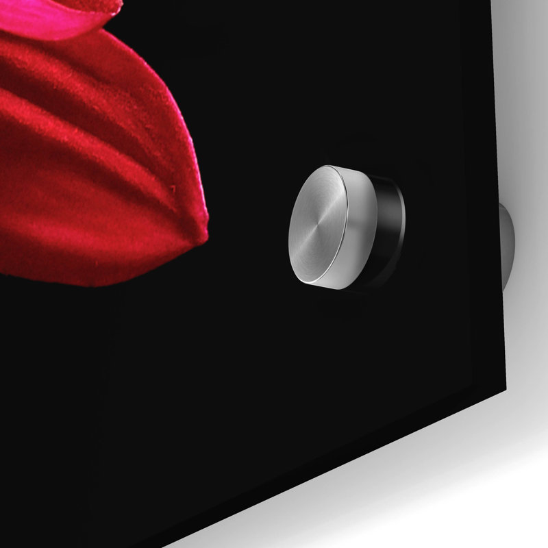 «Red Chrysanthemum On Black» par Tom Quartermaine, H 36 po x l 36 po x P 0,2 po
