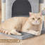 50cm H Cat Tree-1844960188
