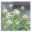 Art mural en verre Winston Porter «Farmhouse Cleome 2» par Julia Purinton-300580507