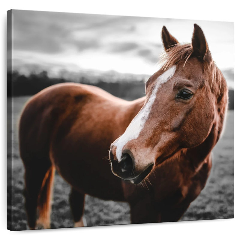 Brampt Shining Horse, 20" H x 20" W