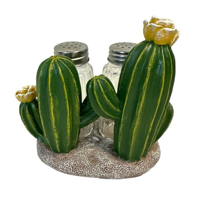 Ensemble de porte-shaker en polyrésine, style désert du sud-ouest, vert, cactus floral, sel et poivre