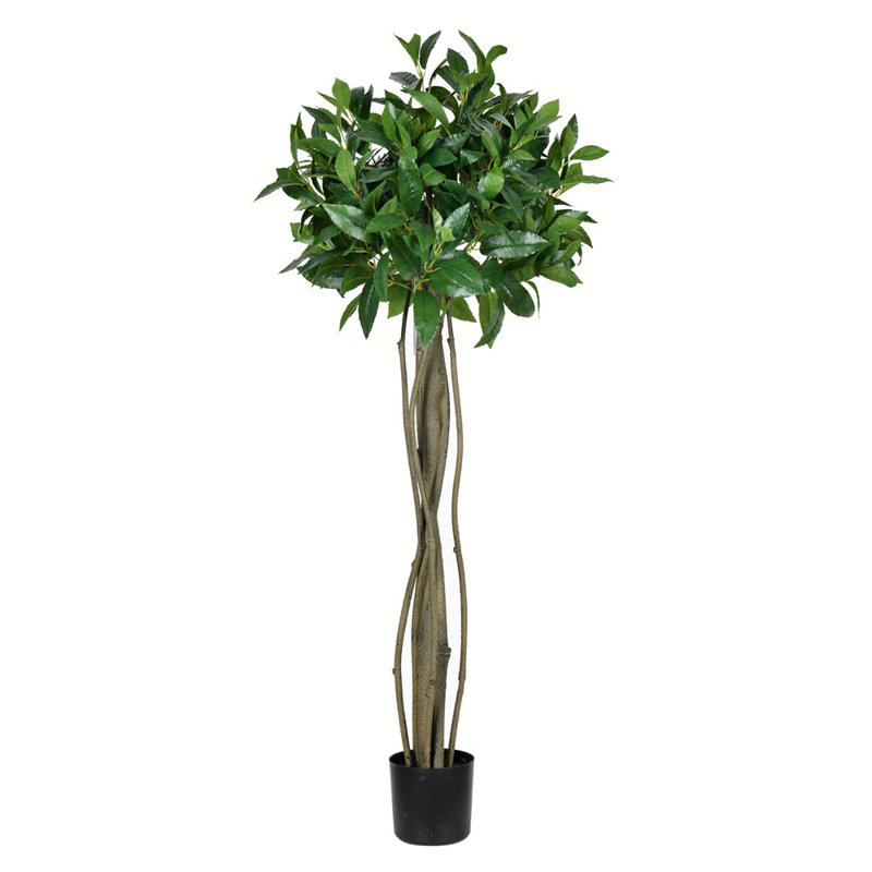 Arbre à feuilles de laurier artificiel, H 48 po x l 22 po x P 22 po