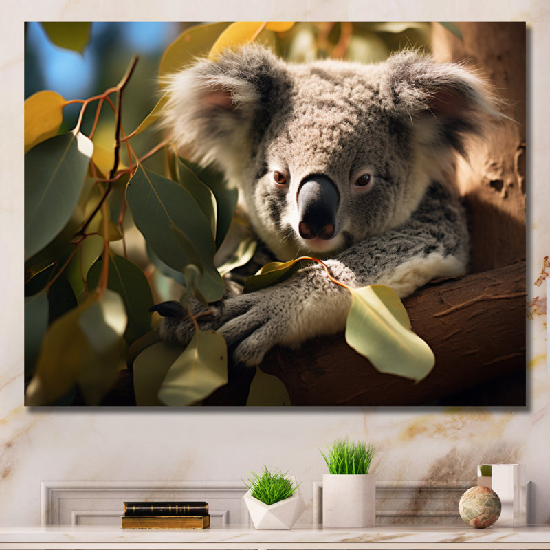 Australie, Koala Haven II, reproduction d'art sur toile, H 24 po x l 32 po x P 1 po, Toile tendue