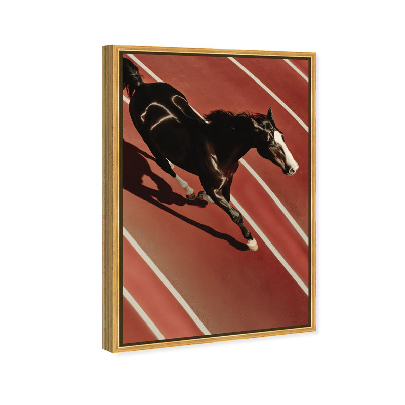 Velocity Vector Print by Oliver Gal, 31"H x 46"W, Gold Floater Frame