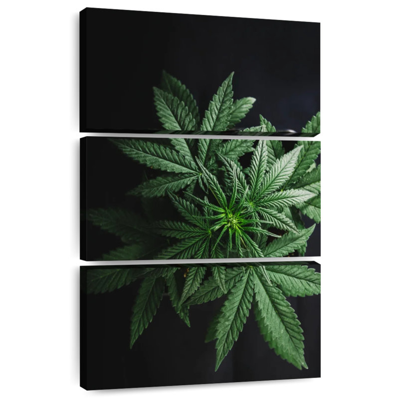 Feuilles de marihuana, H 38 po x l 24 po