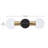 Rayvyn 18" 2-Light Dimmable LED Integrated Matte Black Vanity Light with Matte Brass Accents & Clear Glass