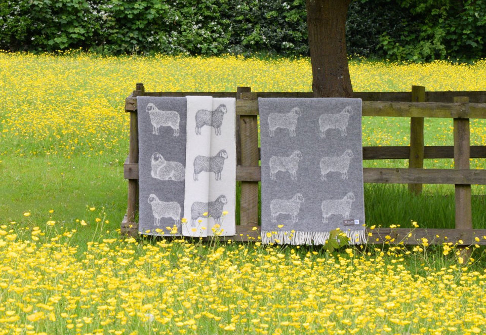 Throws & Blankets