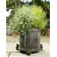 Goodfellow Metal Planter Feet