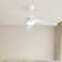 Whisper 52" 5 ABS Blade Propeller Classic Ceiling Fan with LED Lights and Remote Control