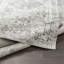 Lake City Oriental Area Rug-84851155