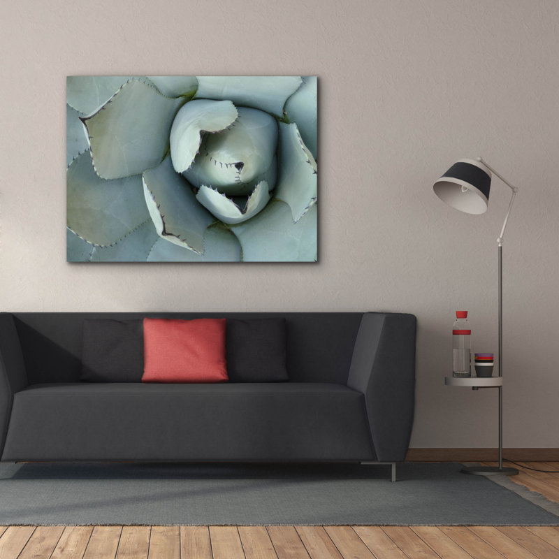  «Agave Détail 2» par Brittany Evans, art mural sur toile, 54 po x 40 po