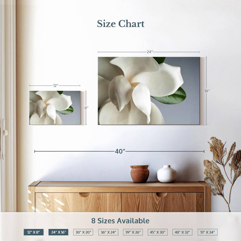 Magnolia blanc Harnek, H 16 po x l 24 po