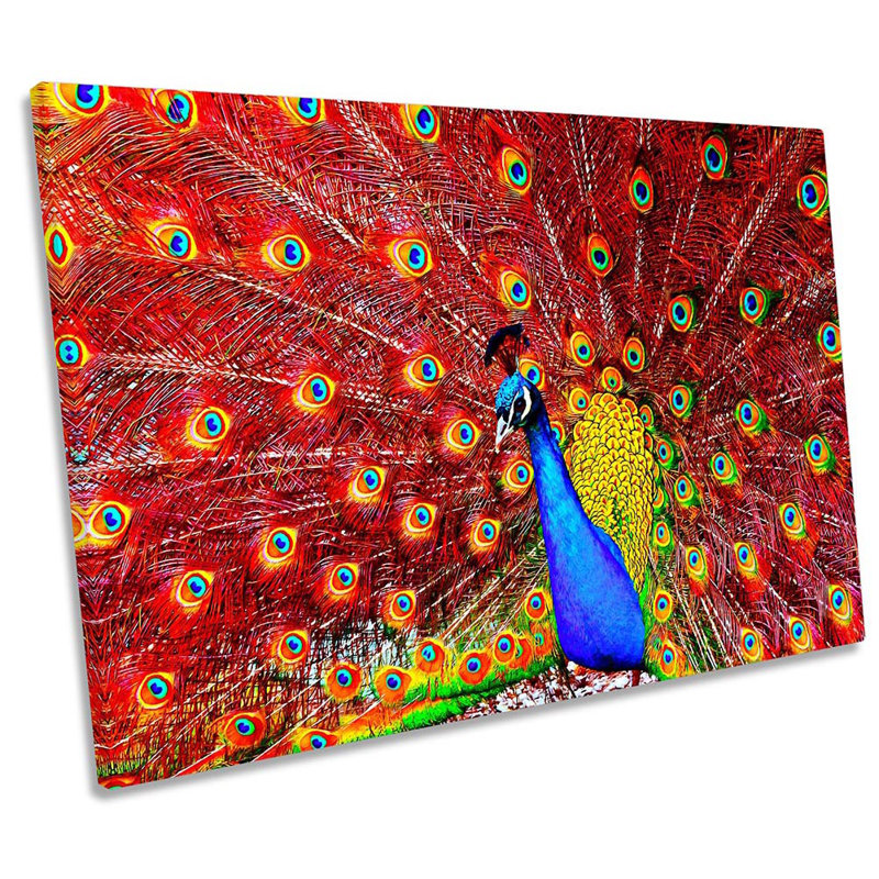 Red Peacock Feathers - Wrapped Canvas Print, 30.5cm H x 45.7cm W x 2cm D