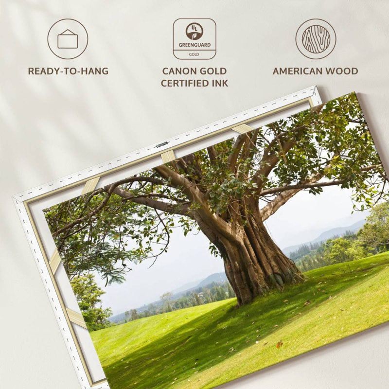Harnek Real Tree, 34" H x 51" W