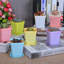 Paquet de 24 pots à fleurs en plastique de 2,8 pouces avec soucoupes, pots à plantes avec trous de drainage pour plantes d'extérieur et d'intérieur