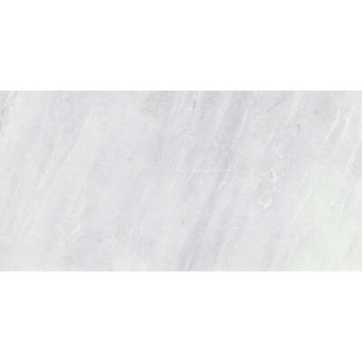 Kalta 12"" x 24"" Marble Look Wall & Floor Tile -  Emser Tile, M05KALTBI1224