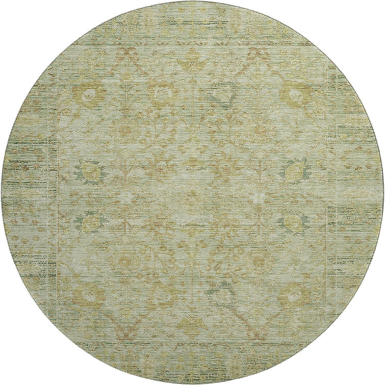 Premium Machine Washable Wayne AMF1106 Global Rug
