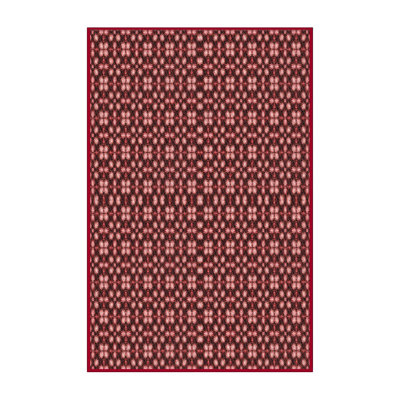 Tapis 100% à motifs lavables à la machine 2989 WSHPAT487RD