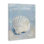  Art mural sur toile Coastal Scallop Clam par Arlington Prints