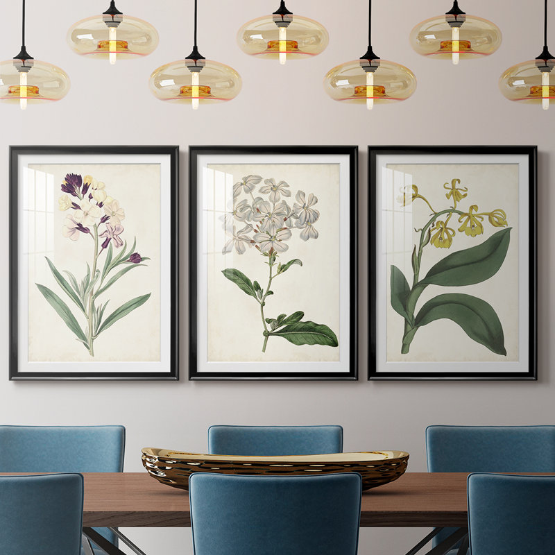 Antique Botanical Collection VII - reproduction sur mesure encadrée de qualité supérieure - 3 pièces, H 15 po x l 19 po, Noir