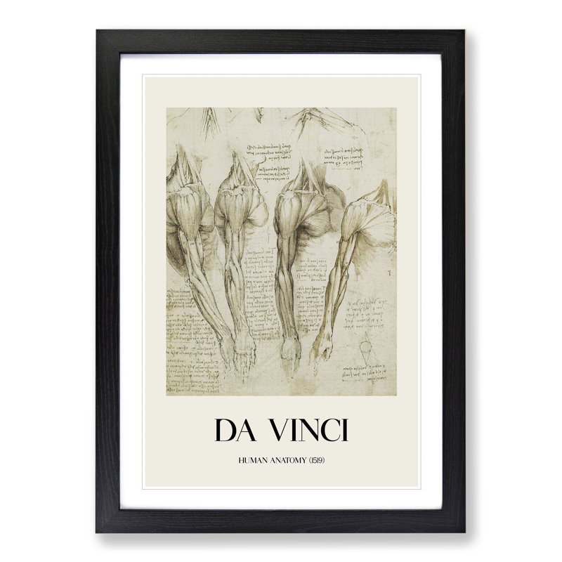 Human Anatomy Vol.8 by Leonardo Da Vinci - Picture Frame Drawing, Black Framed, 48cm H x 36cm W x 2cm D