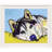 " Siberian Husky " by Dean Russo-1931374218-1931374263