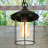 Maricela Outdoor Hanging Lantern