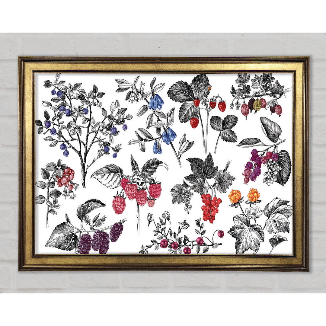 Collage aus Blumen und Beeren - Einzelner Bilderrahmen Kunstdrucke