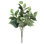 Plante de ivy philo douille