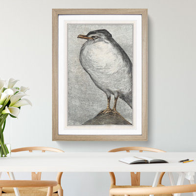 Herring Gull by Theo Van Hoytema - Framed Print