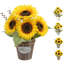 10 plantes