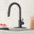 Oil Rubbed Bronze